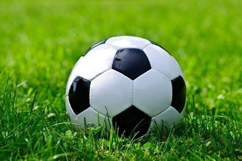 soccer ball on grass